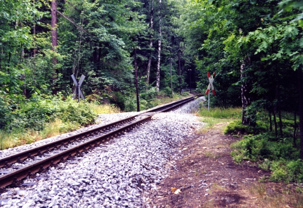 Immer wieder quert die Bahn die Wege der Forstwirtschaft ...